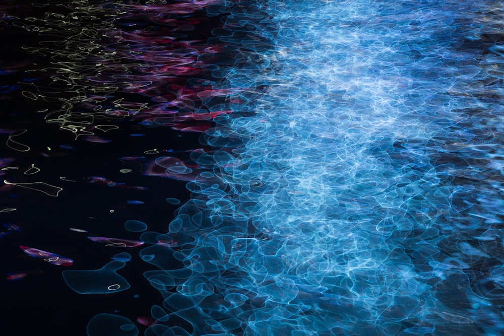 close-up photo of blue and purple light reflects on water