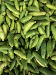 Close-up of fresh cucumbers packed and ready for shipment.