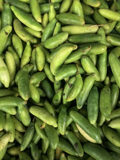 Close-up of vibrant gherkins being prepared for bulk export, highlighting freshness.