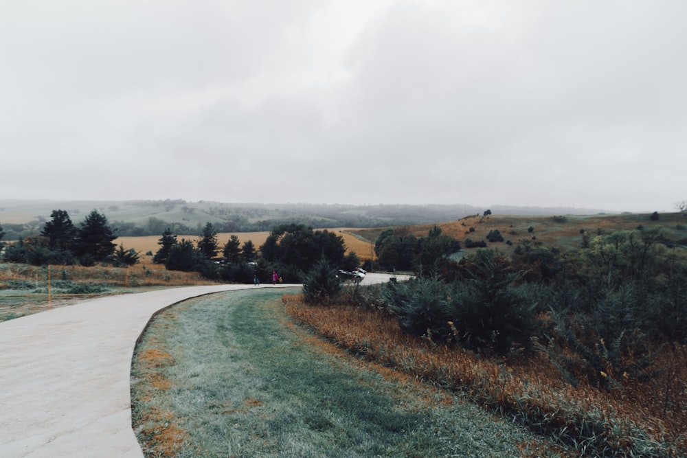 winding road beside green grass field