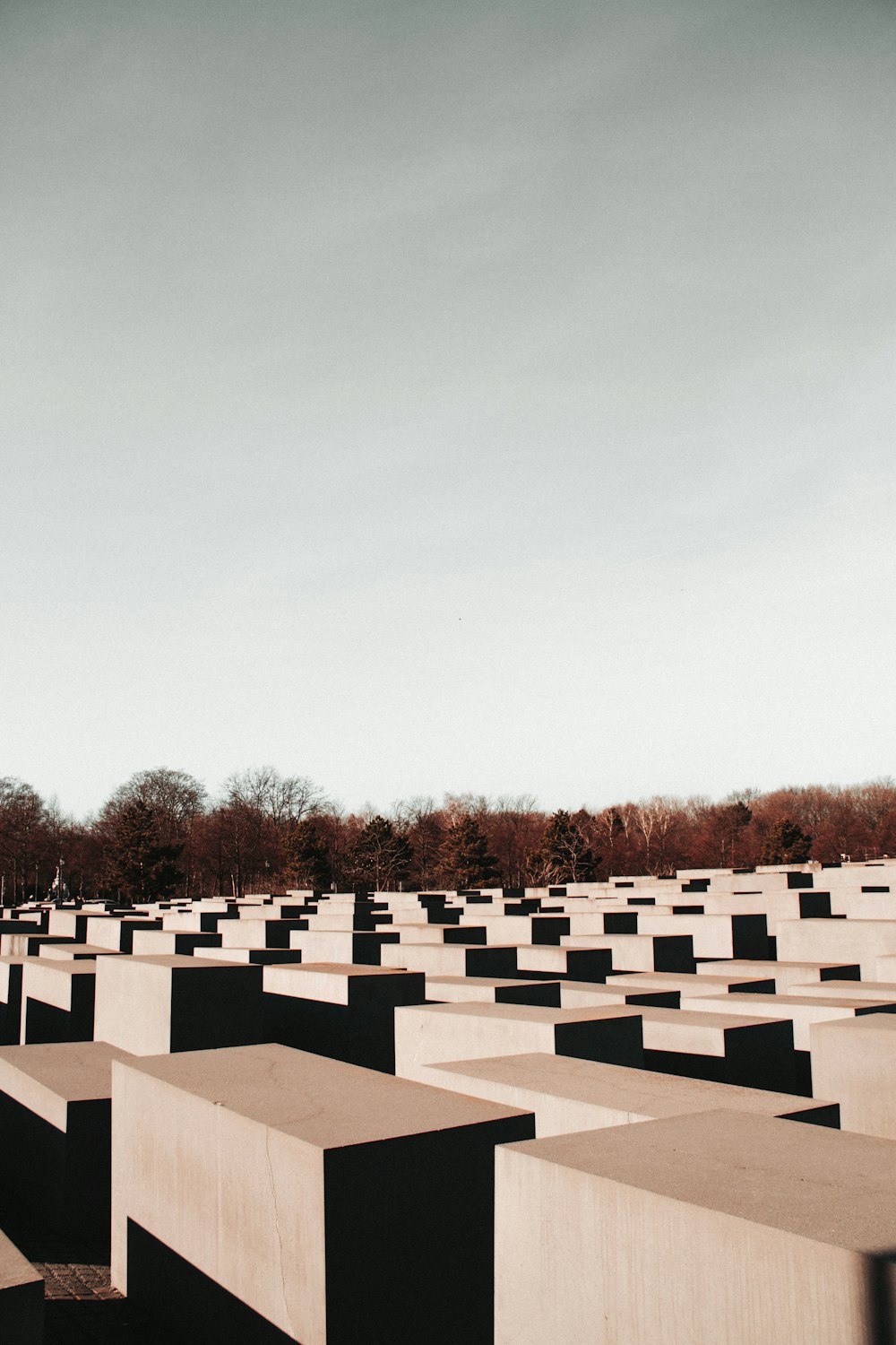 rectangular concrete surface near red trees