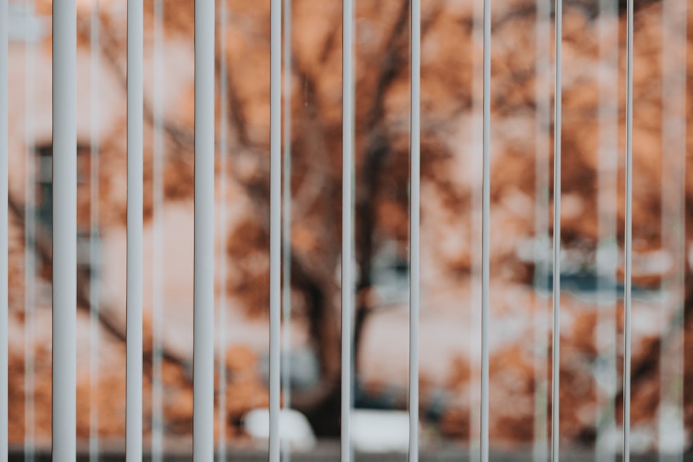 selective-focus of window blinds