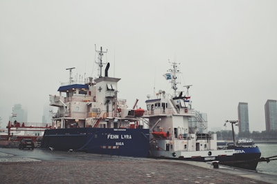 Two large vessels are docked at a port on a foggy day. The ships feature multiple decks and visible antennas, with the larger ship named 'FEHN LYRA' from Riga. The background includes hazy skyscrapers and a cloudy sky. A small car is parked on the paved surface in the foreground.