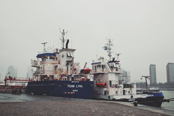 Two large vessels are docked at a port on a foggy day. The ships feature multiple decks and visible antennas, with the larger ship named 'FEHN LYRA' from Riga. The background includes hazy skyscrapers and a cloudy sky. A small car is parked on the paved surface in the foreground.