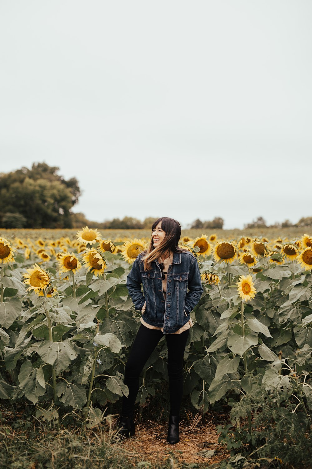 woman surrounded by sunflower field