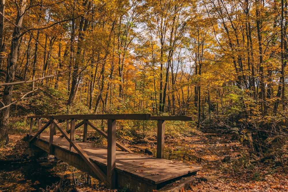 brown wooden bridge