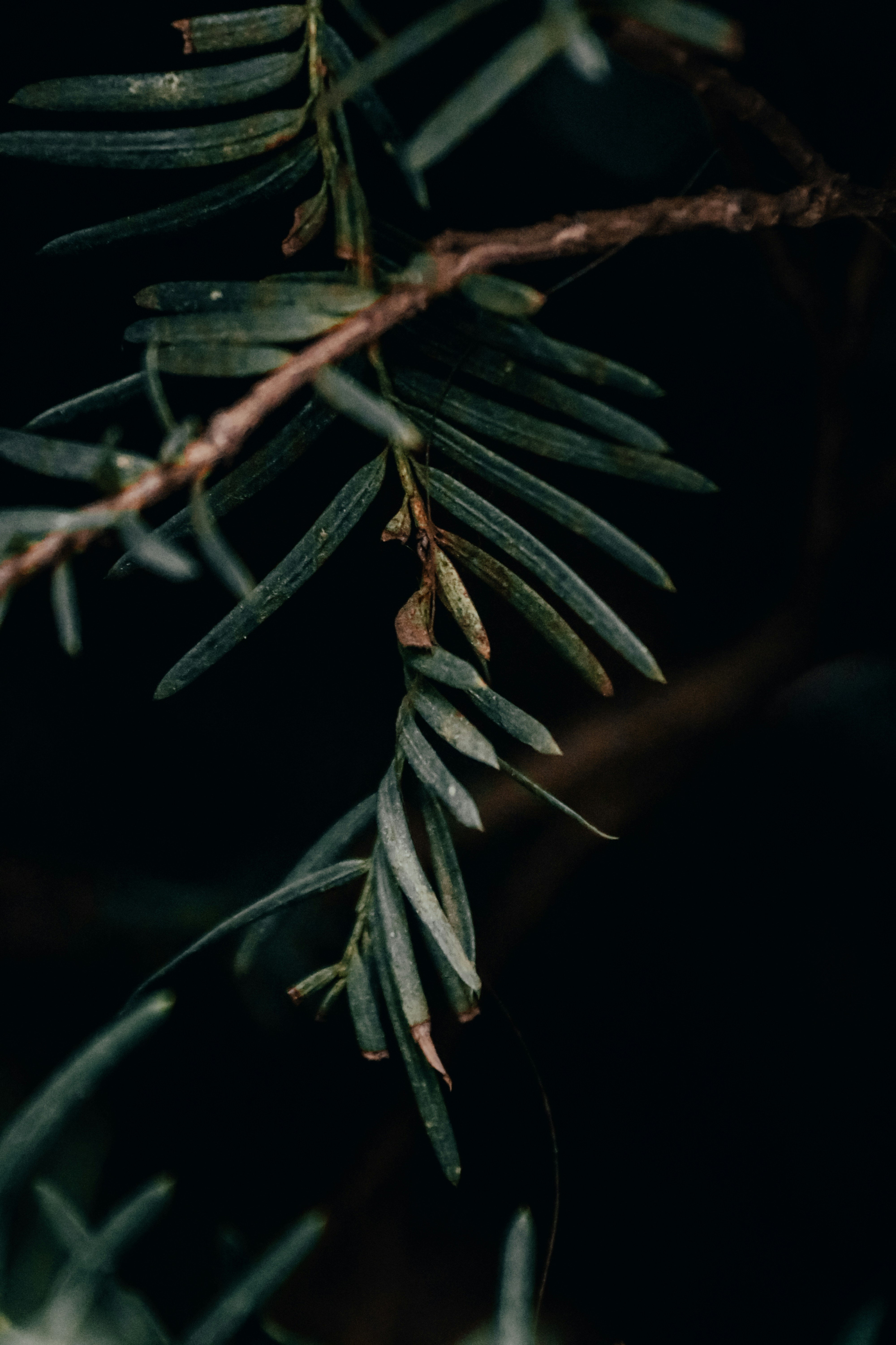 Photo by lorenzo_colo