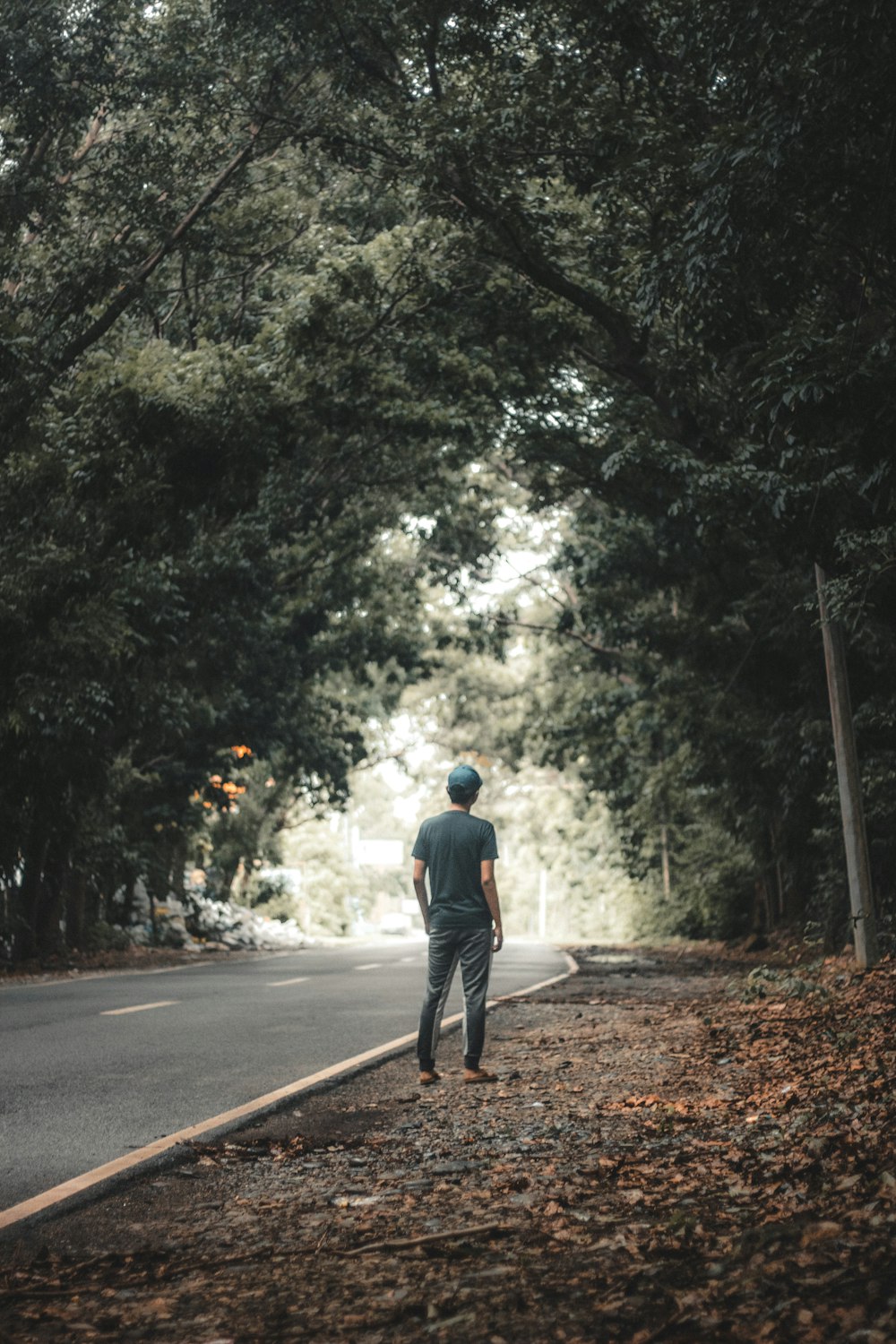 man beside road in forest