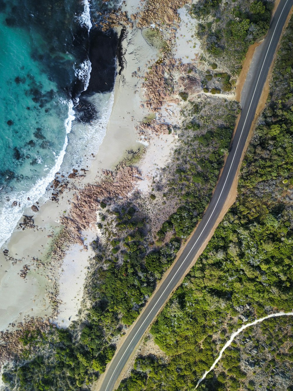 aerial view of road beside the seashore