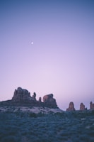 A tranquil prehistoric landscape bathed in moonlight with a faint silhouette of an alien figure nearby.