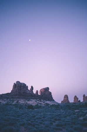 A tranquil prehistoric landscape bathed in moonlight with a faint silhouette of an alien figure nearby.