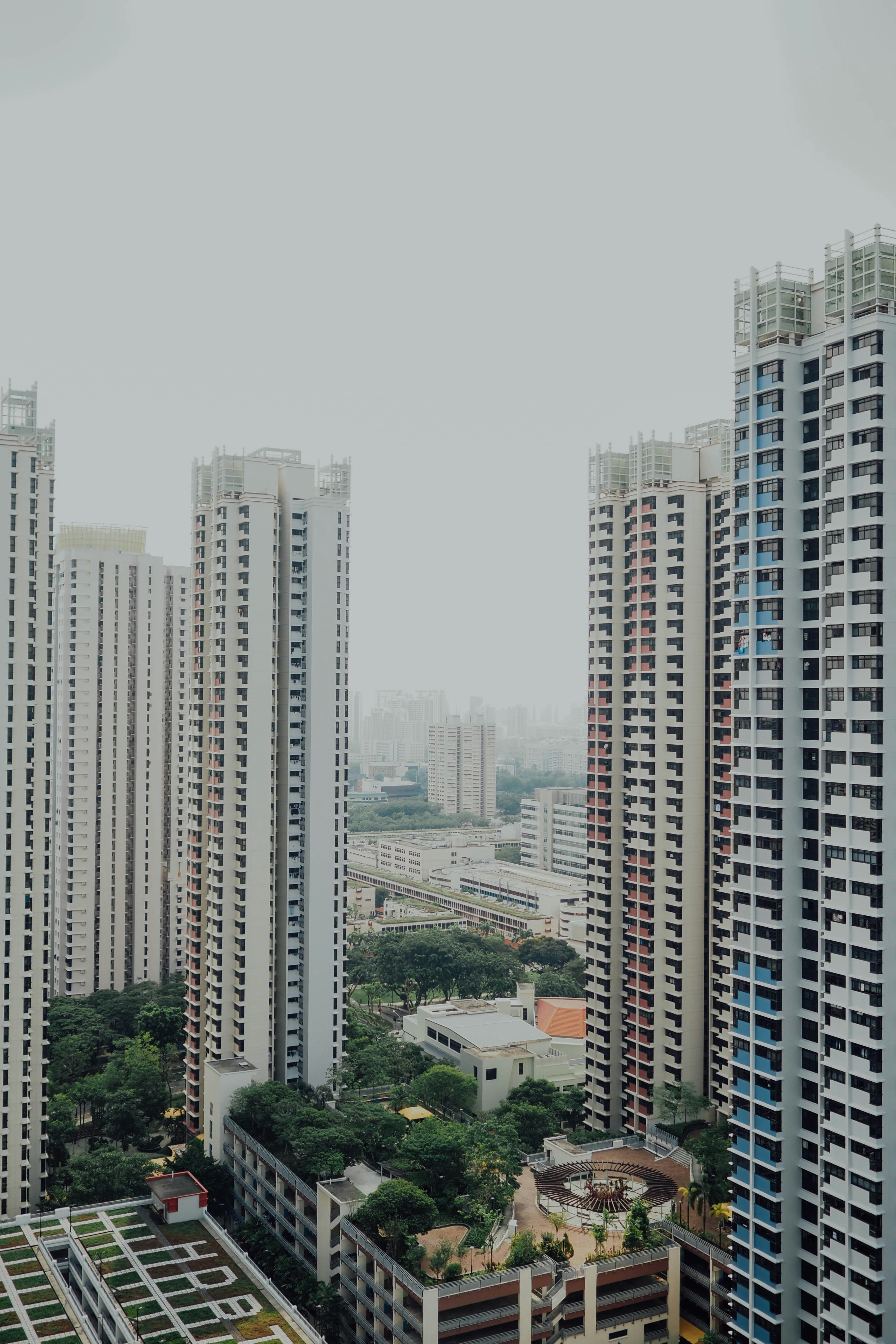 Photo by chuttersnap