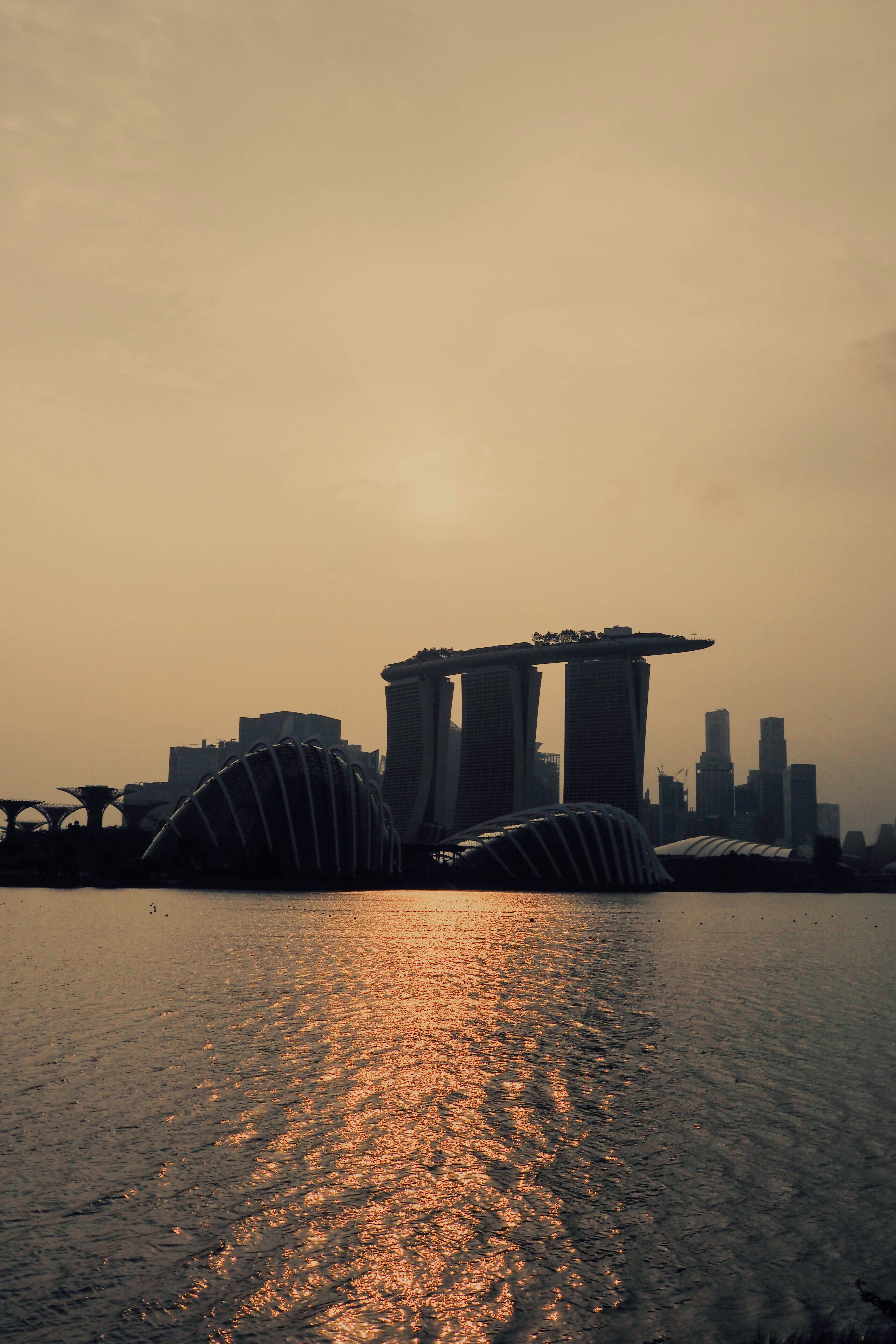 Photo by chuttersnap