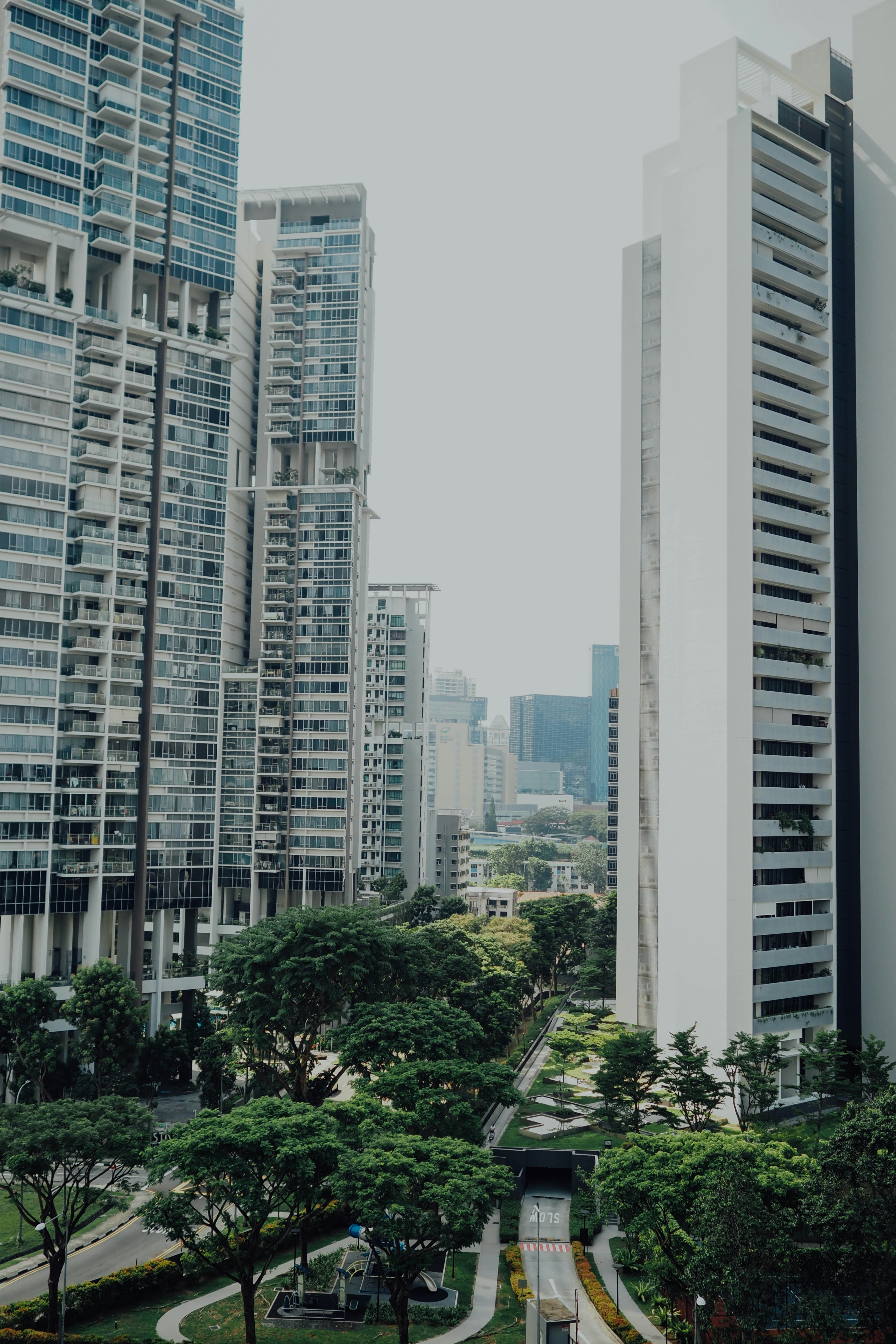 Photo by chuttersnap