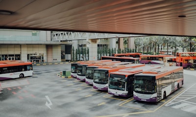 orange and white bus lot