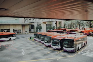 orange and white bus lot