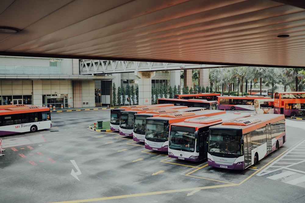 orange and white bus lot