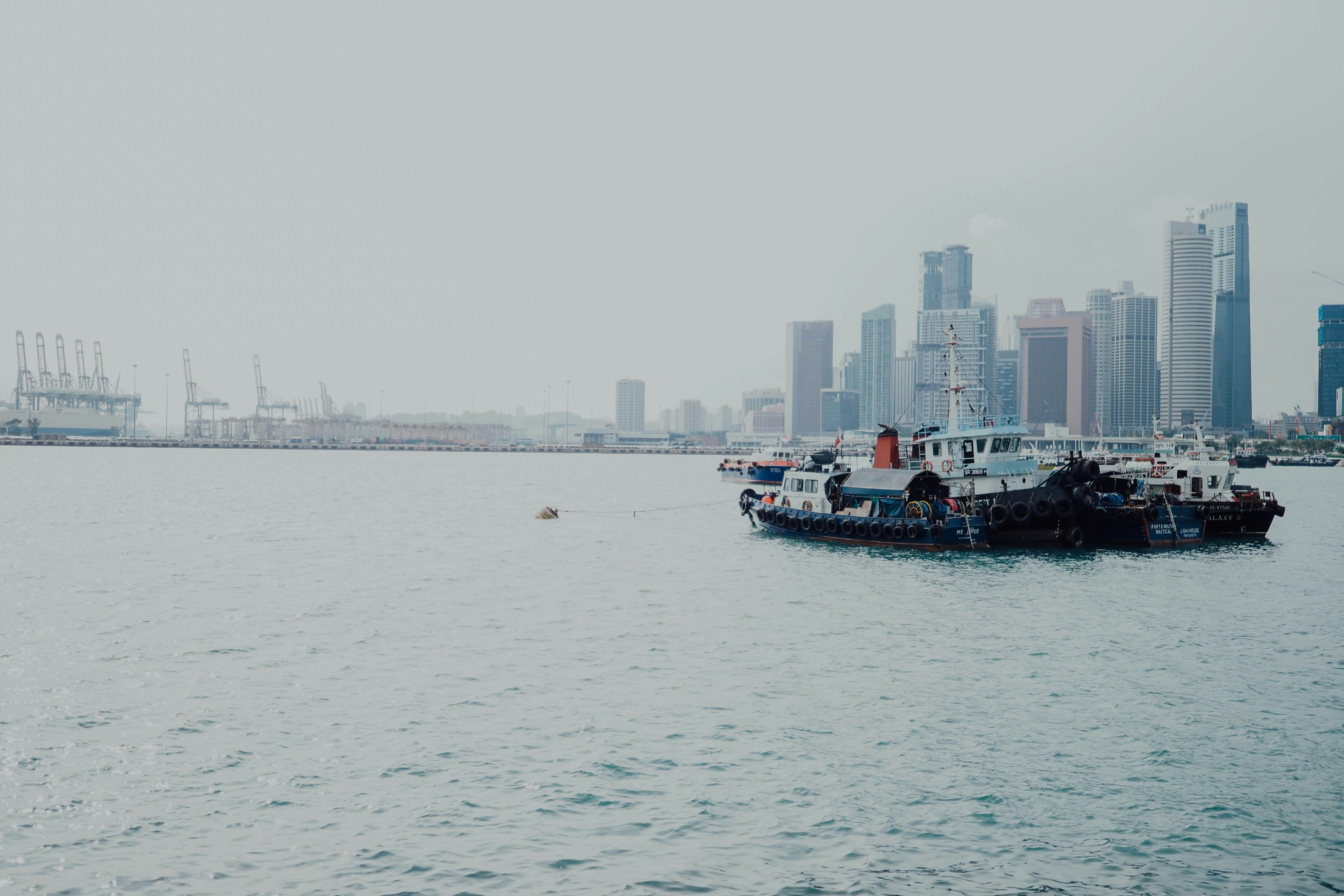 Photo by chuttersnap