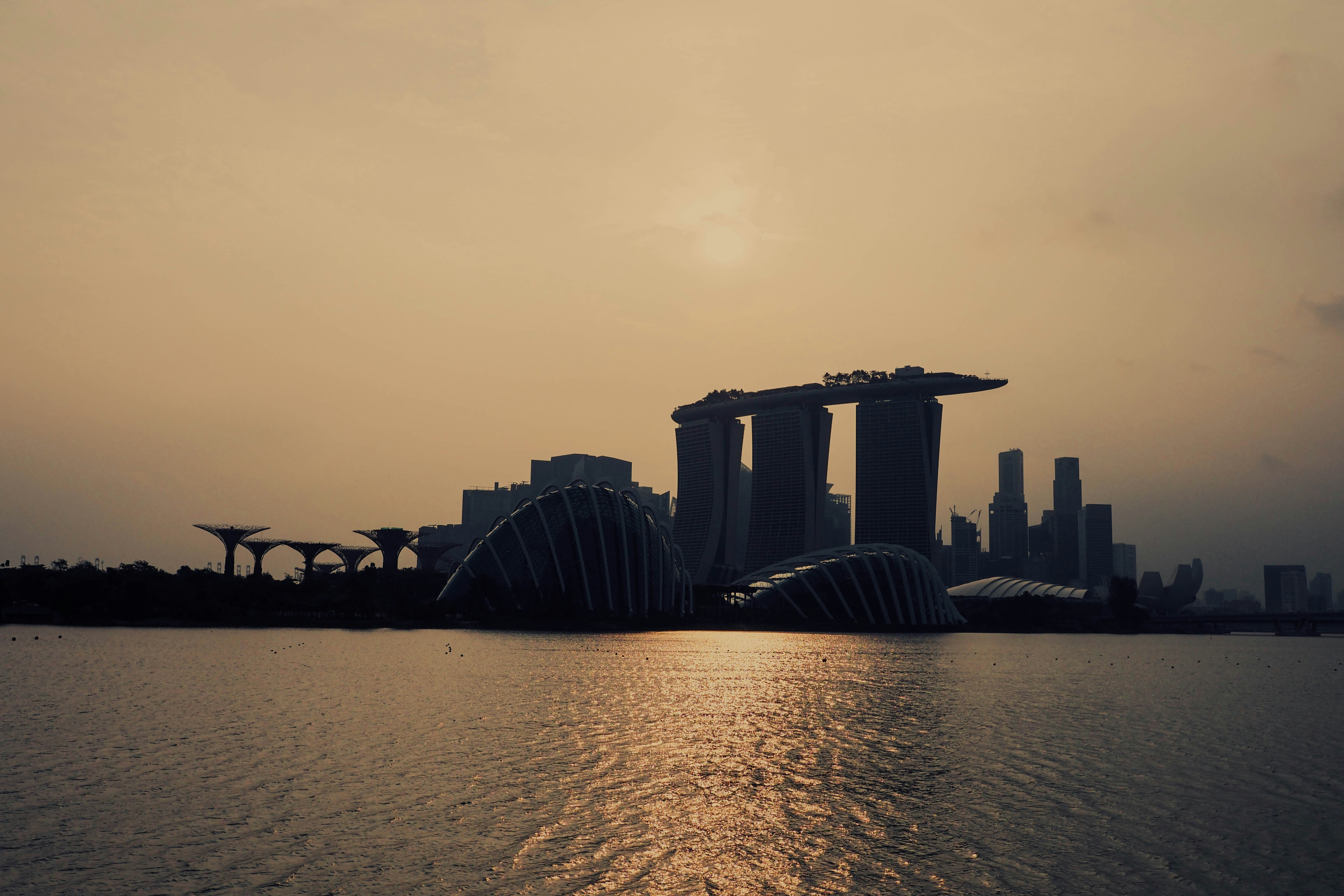 Photo by chuttersnap