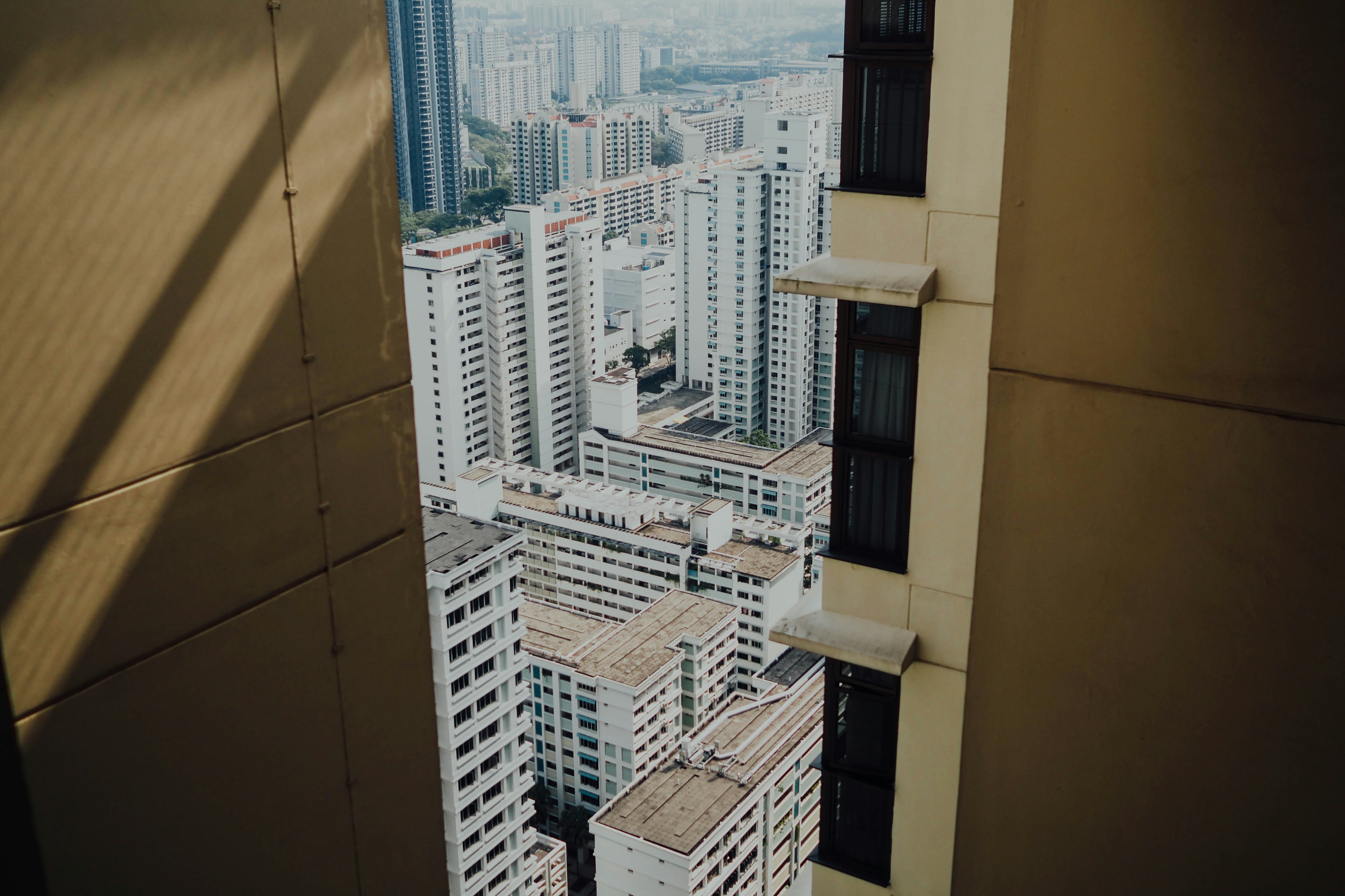 Photo by chuttersnap