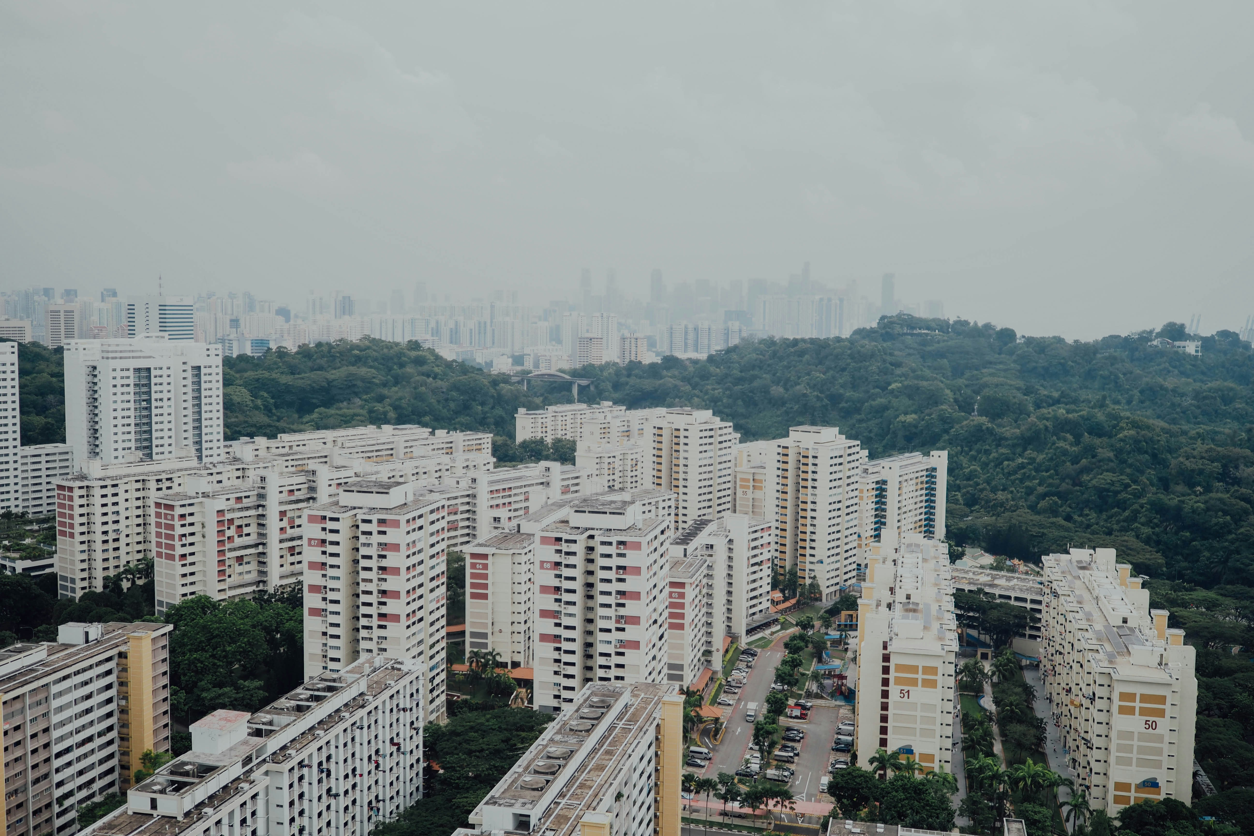 Photo by chuttersnap