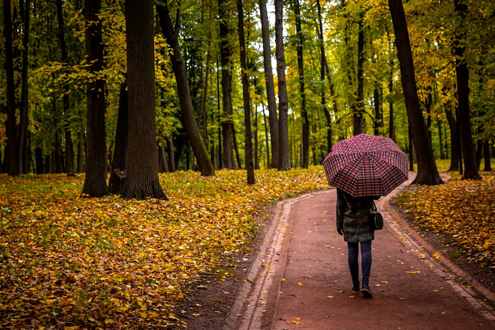 person under umbrella waling on concrete pathway surrounded by trees