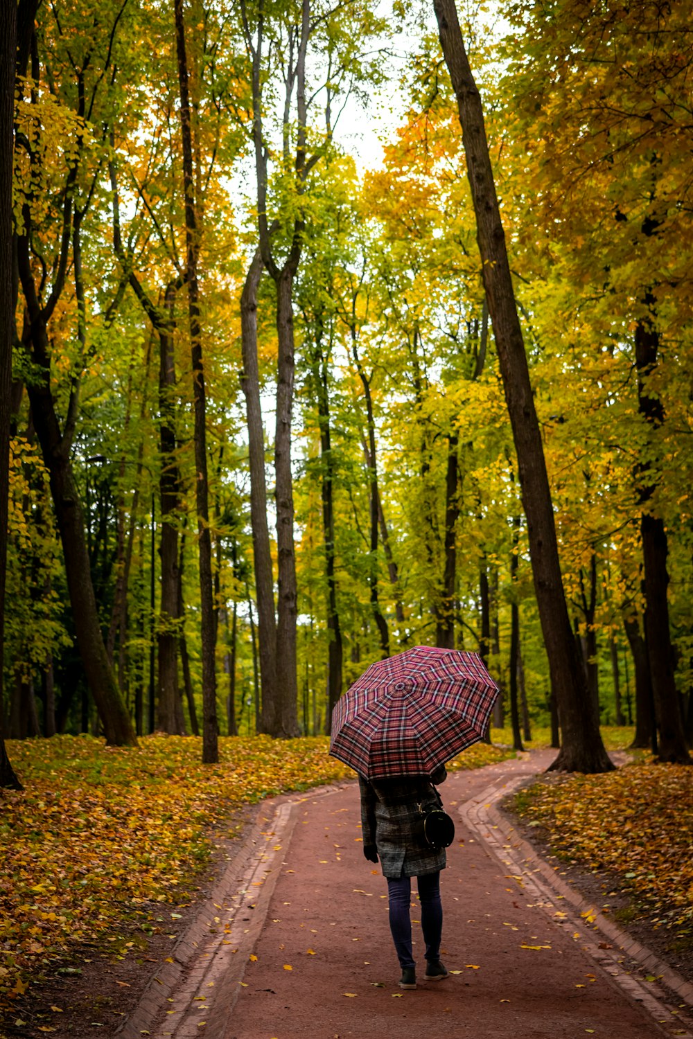 eine Person, die mit einem Regenschirm einen Pfad entlang geht