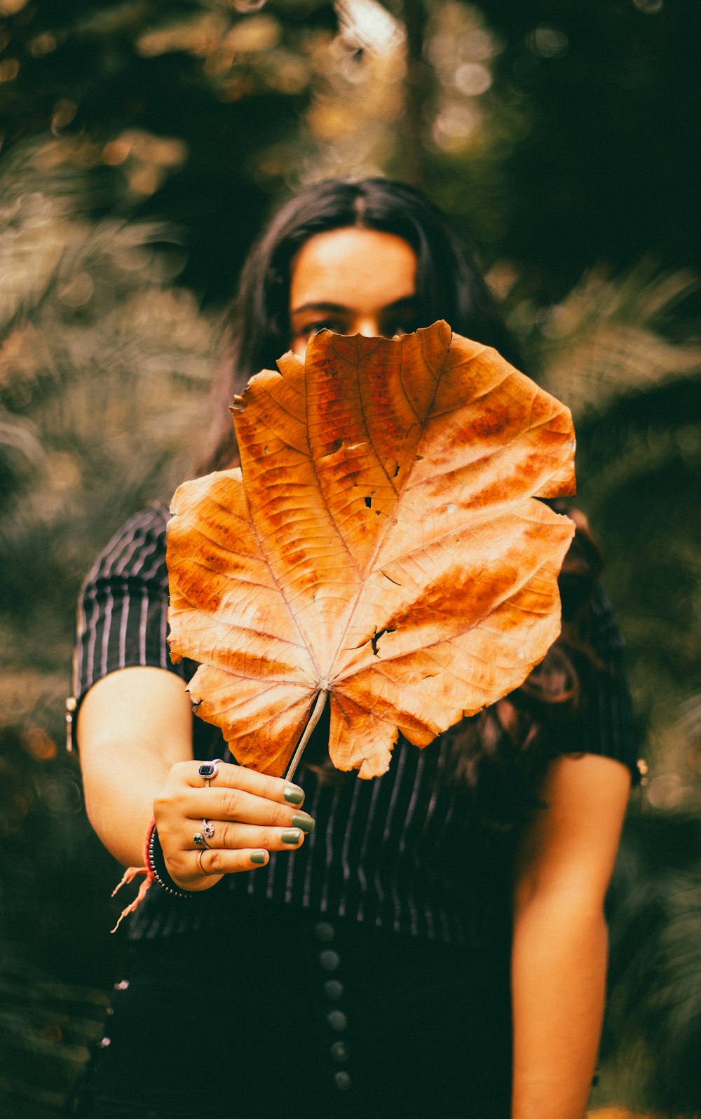 selective focus photography of woman holdin brown leaf