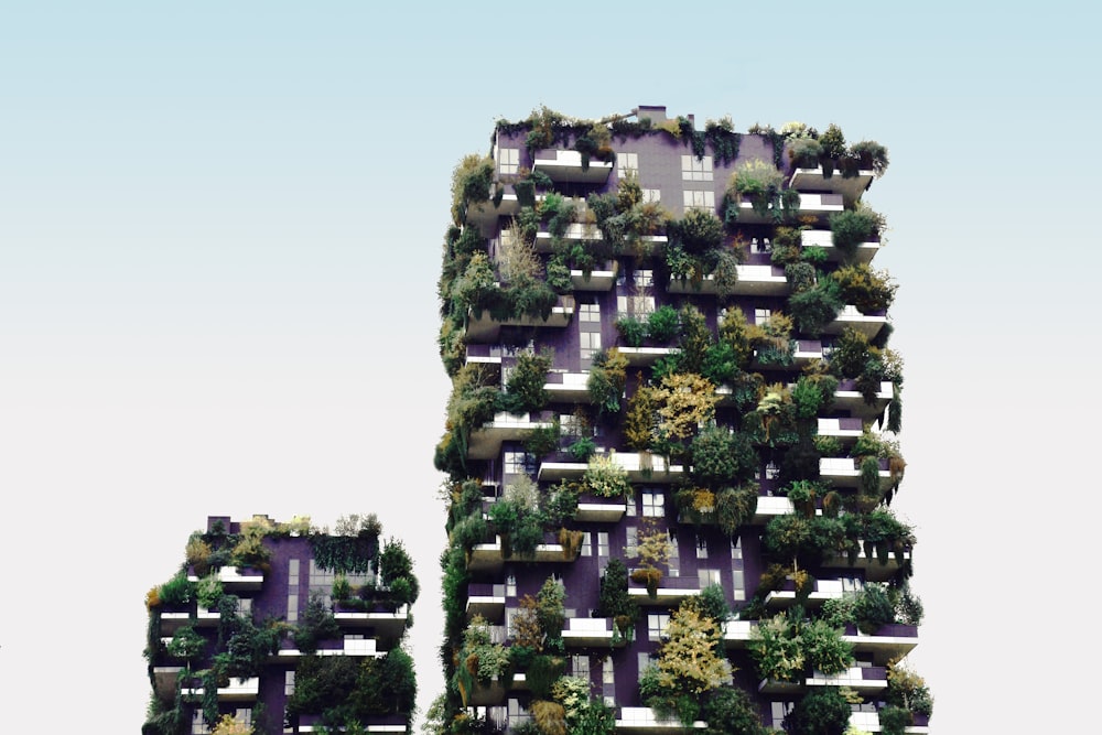 high-rise building with plants