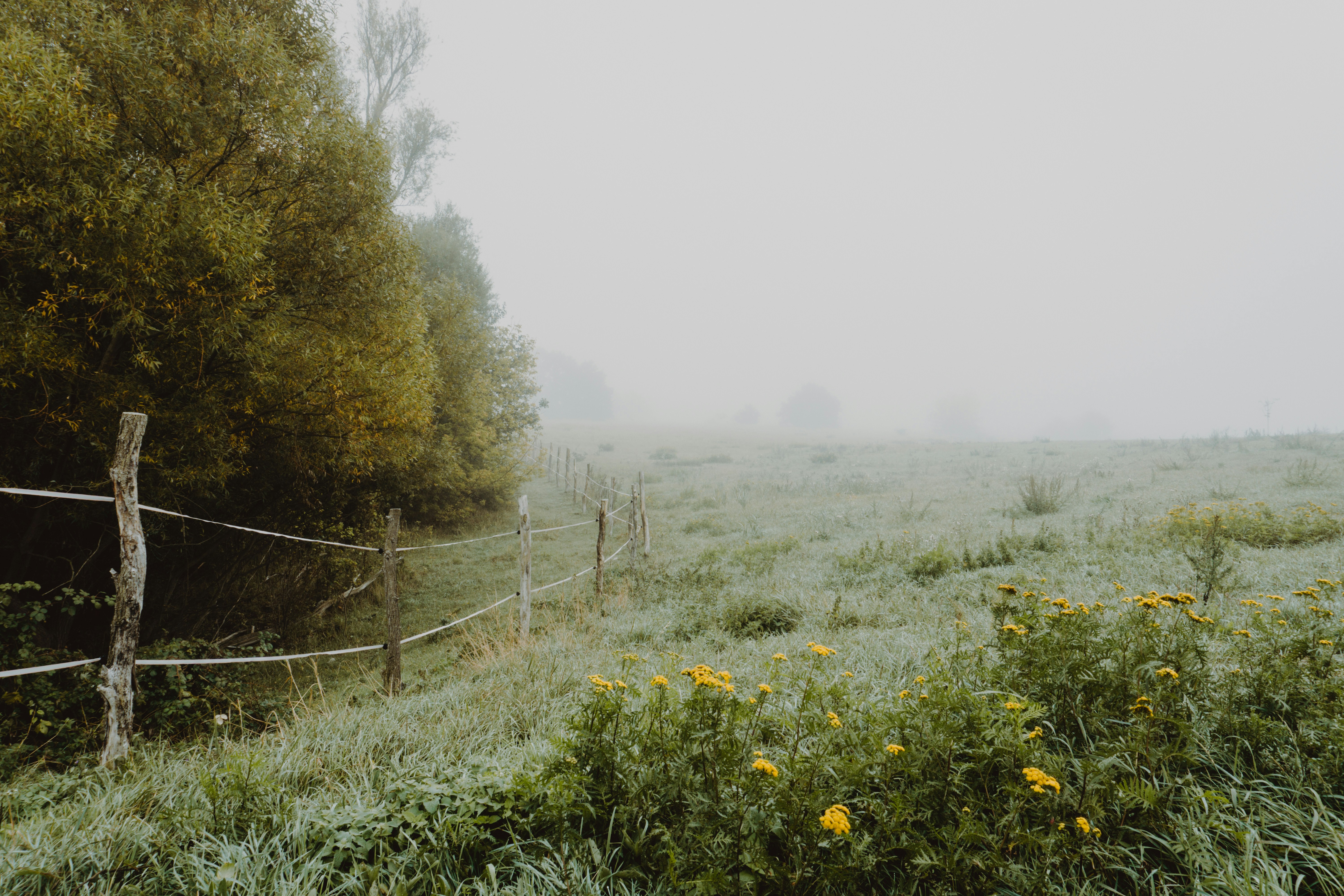 Photo by marinareich