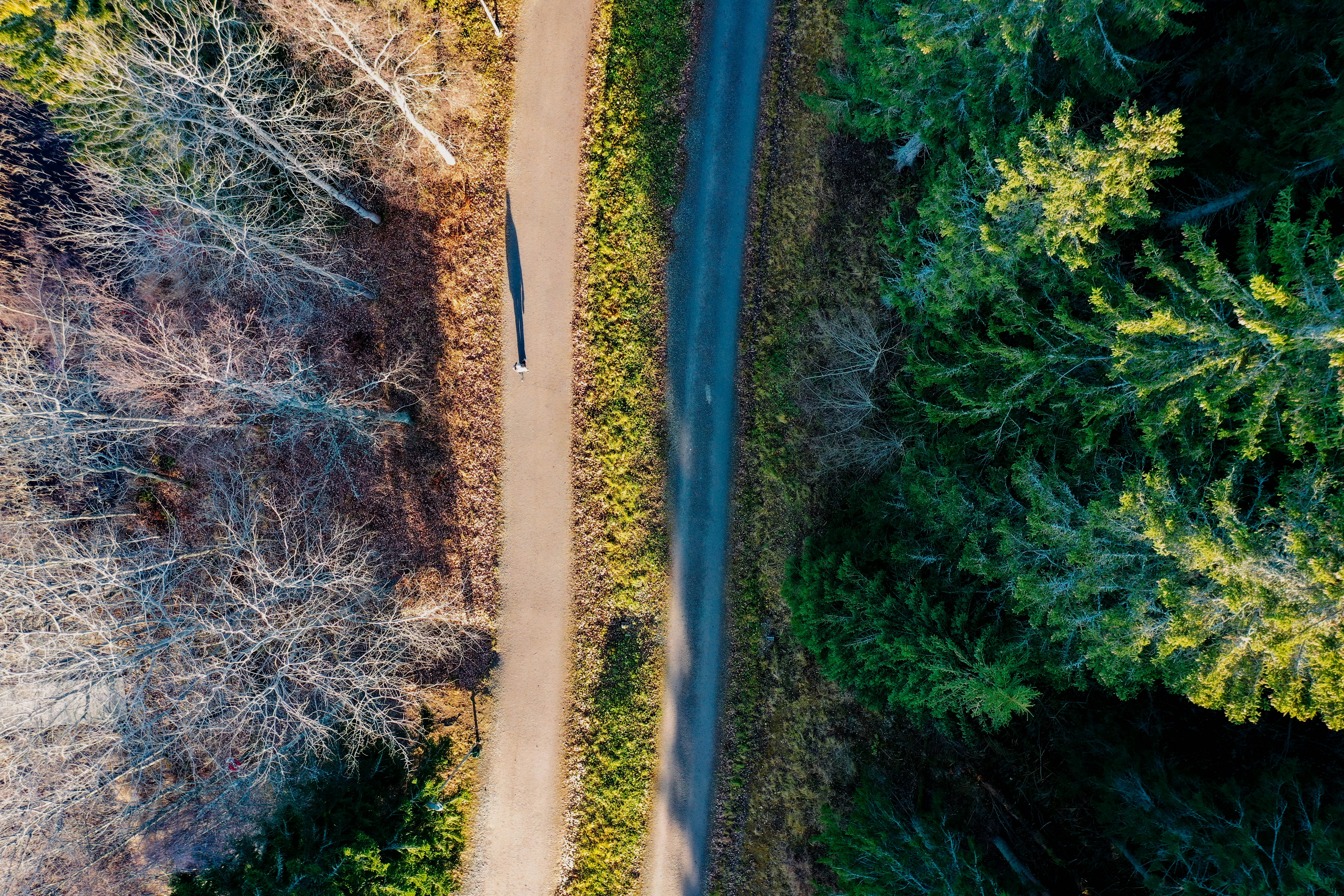 Photo by hendrikpeter