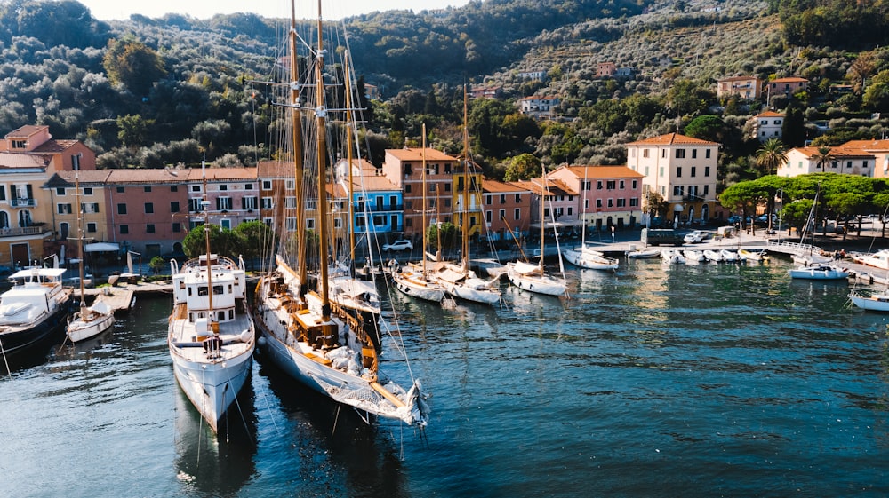 white sailboats on sea