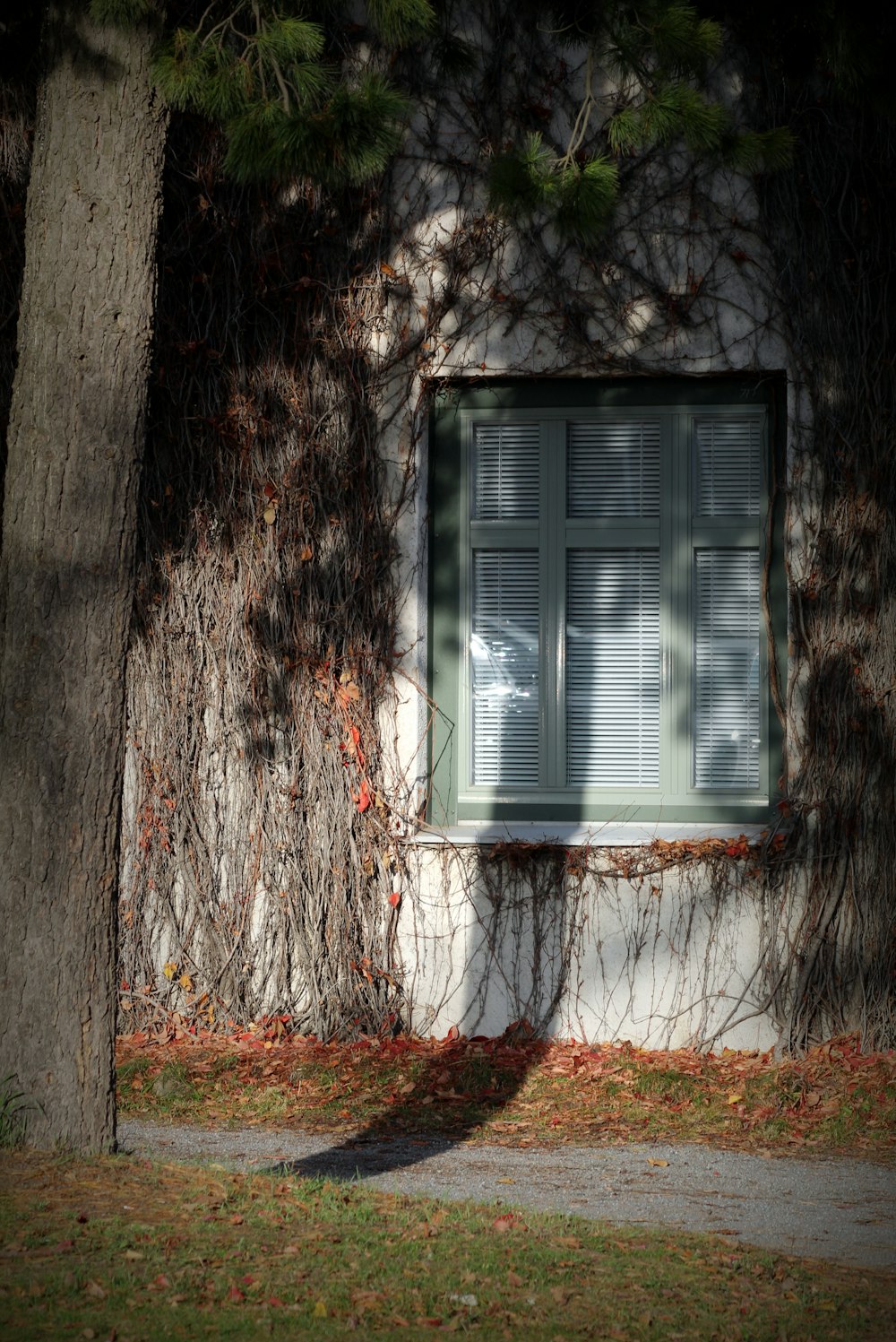 closed gray wooden window