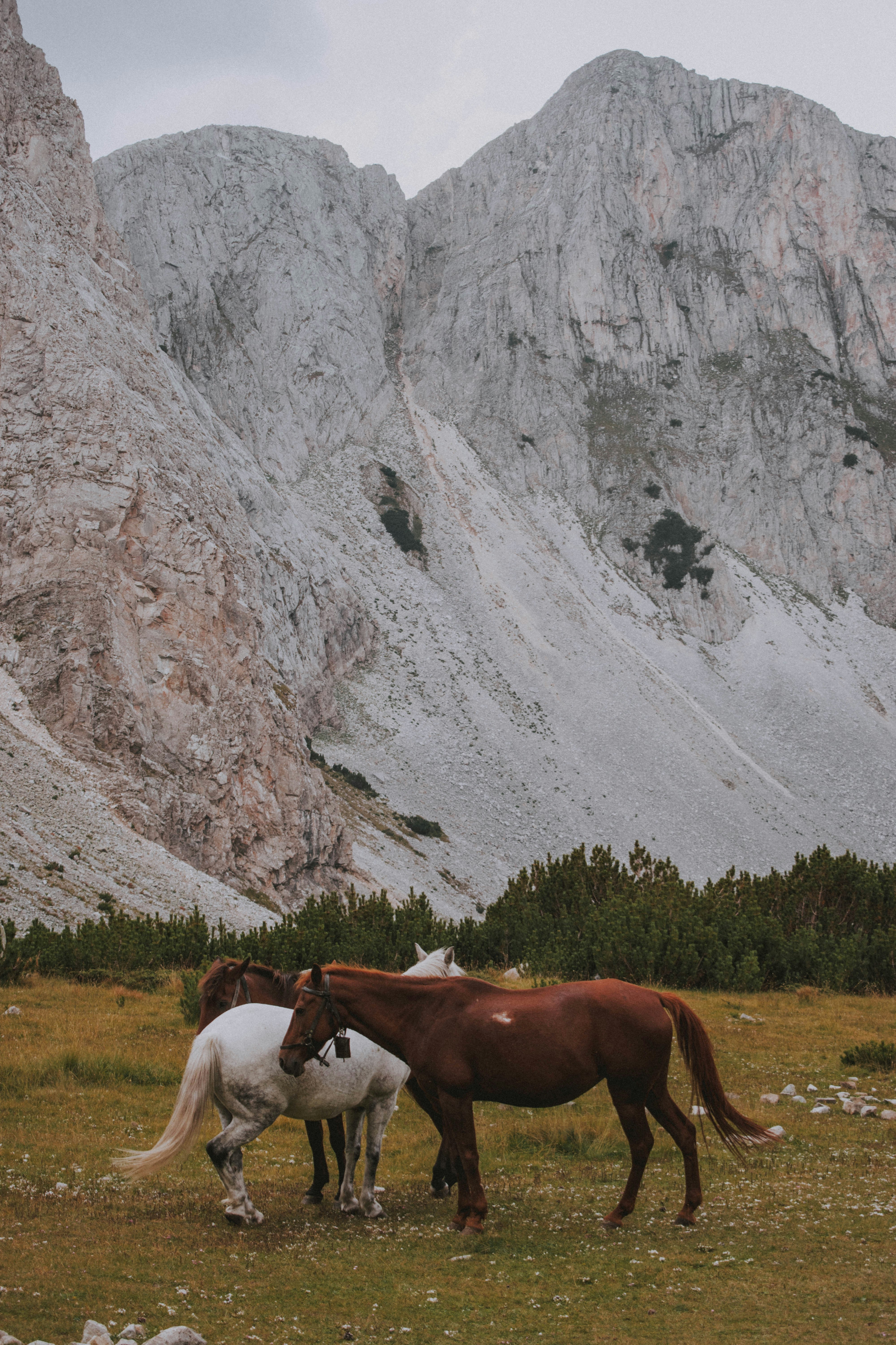 Photo by lstoyanova