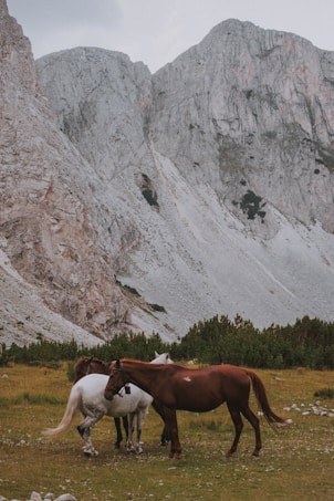 A serene landscape with three horses gathered on a lush green meadow, set against the backdrop of towering rocky mountains. The light gray cliffs rise sharply, contrasting with the greenery at the base, while the horses stand calmly, their coats a mix of brown, white, and tan.