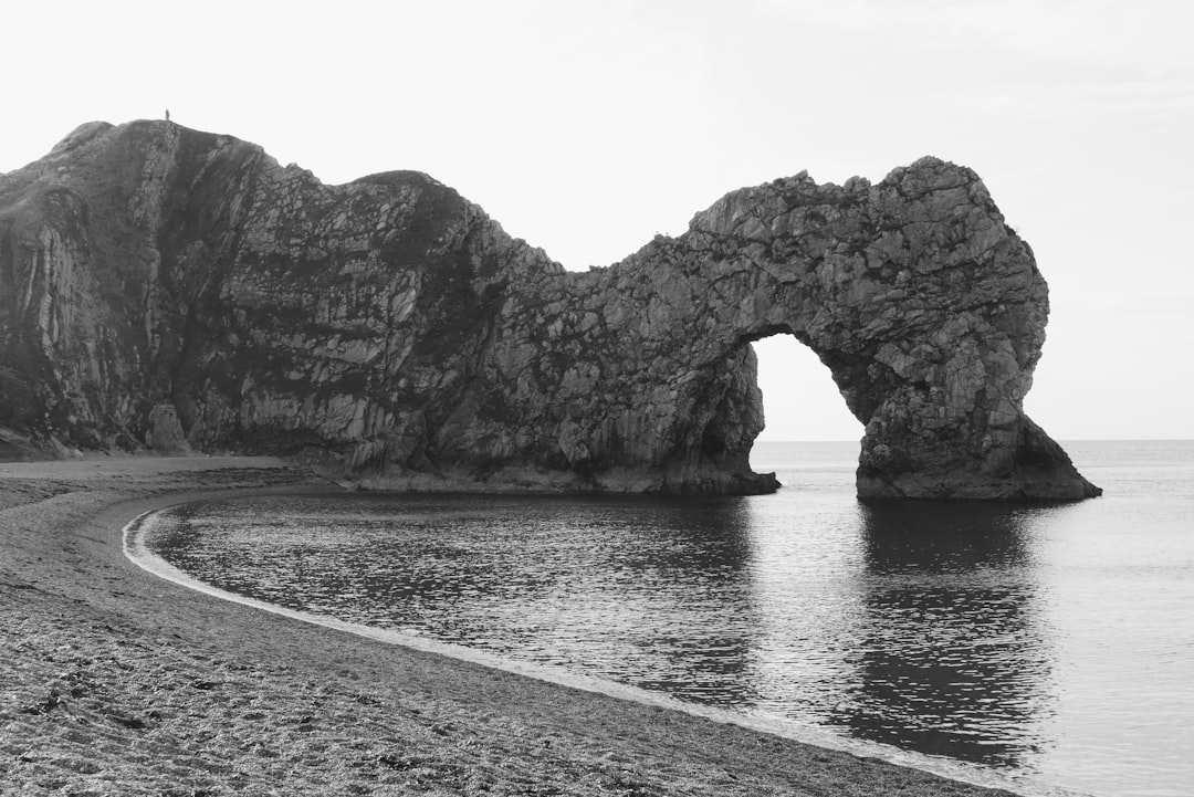 grayscale photo of seashore during daytime]