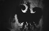 A large, intricately carved silhouette of an eagle with spread wings is mounted on a textured stone wall. The eagle has a crown on its head and is surrounded by shadows, creating a dramatic and mysterious atmosphere. Below the eagle, there are small plants and candles arranged on a ledge.