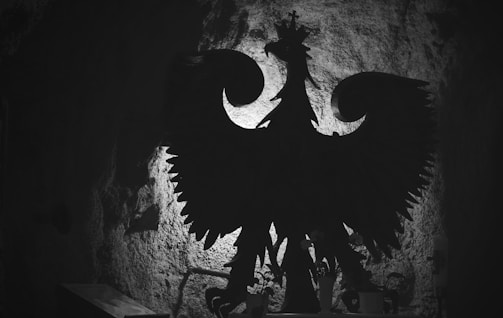 A large, intricately carved silhouette of an eagle with spread wings is mounted on a textured stone wall. The eagle has a crown on its head and is surrounded by shadows, creating a dramatic and mysterious atmosphere. Below the eagle, there are small plants and candles arranged on a ledge.