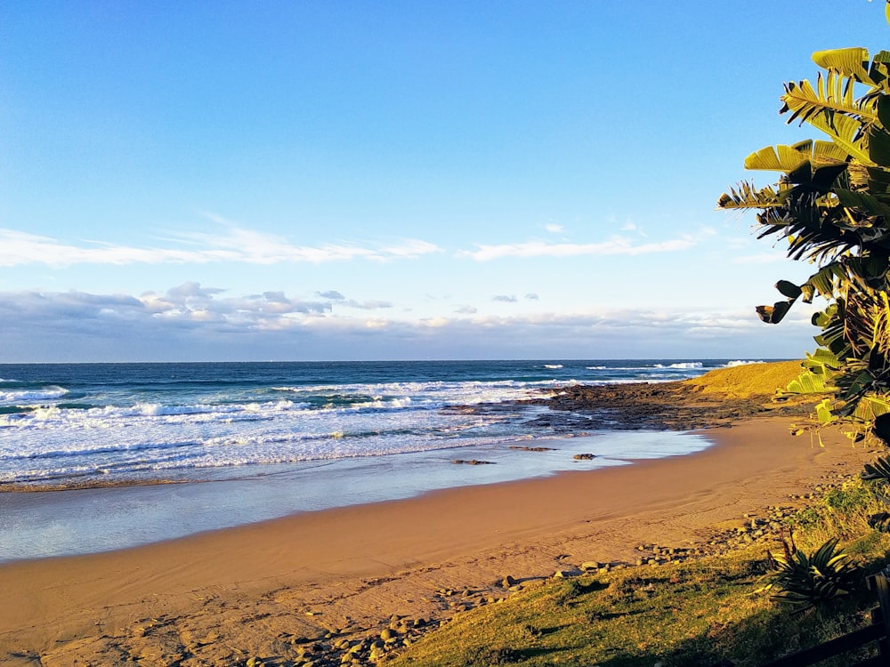 view photography of seashore