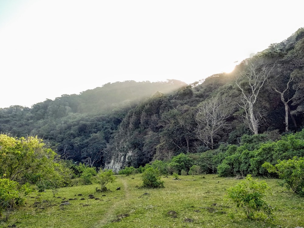 mountains during daytime