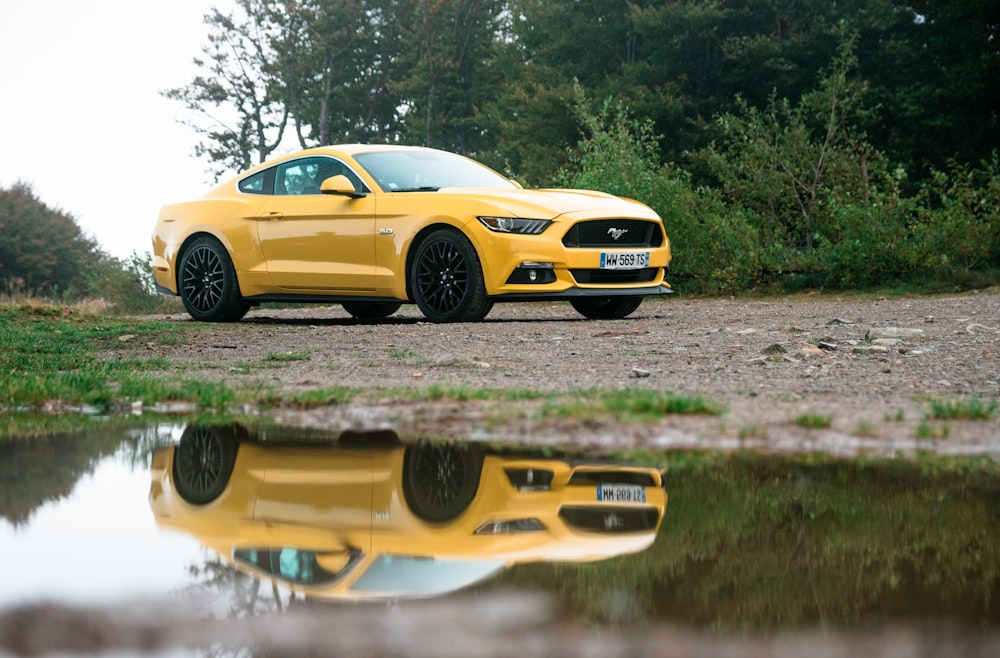 Ford Mustang coupé gialla parcheggiata vicino a piante a foglia verde verde