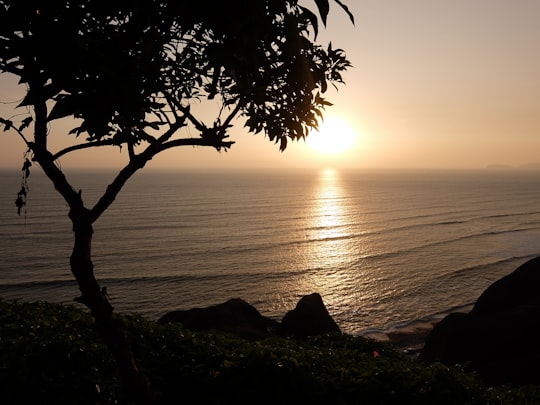 silhouette photography of trees and sea in Lima Peru