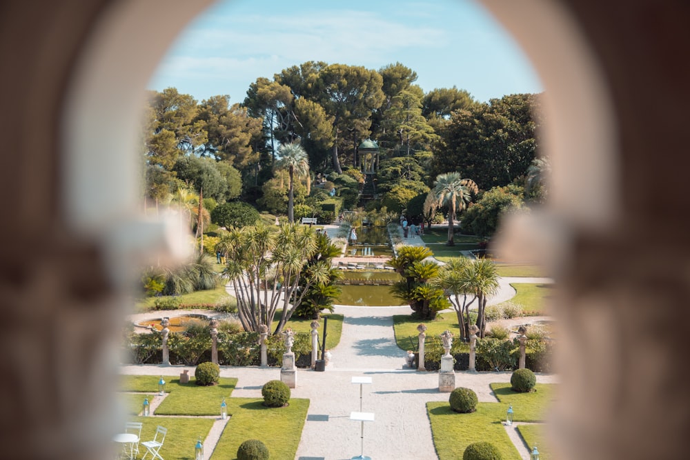 green trees during daytime