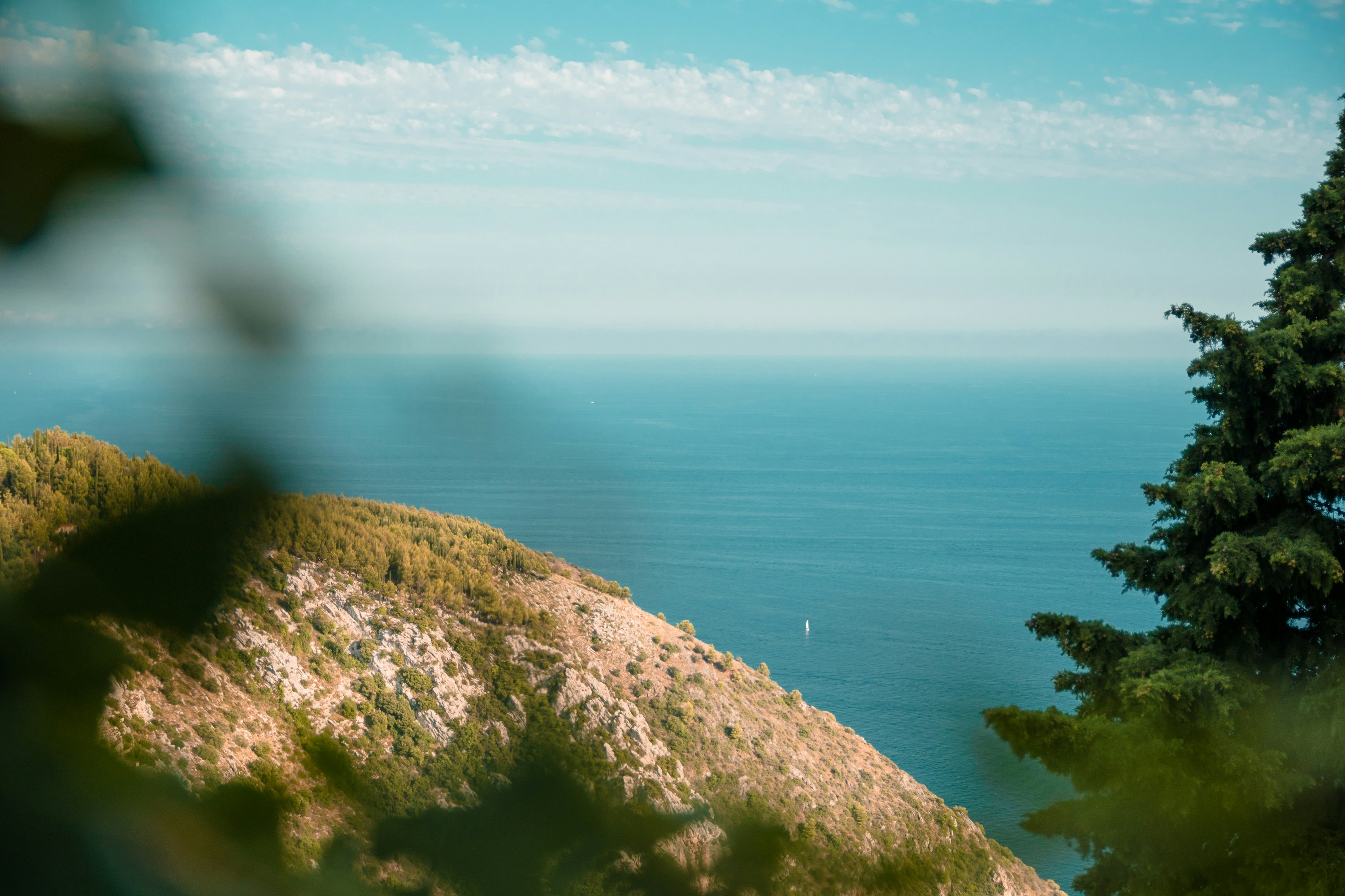 Photo by aurelien_dckw