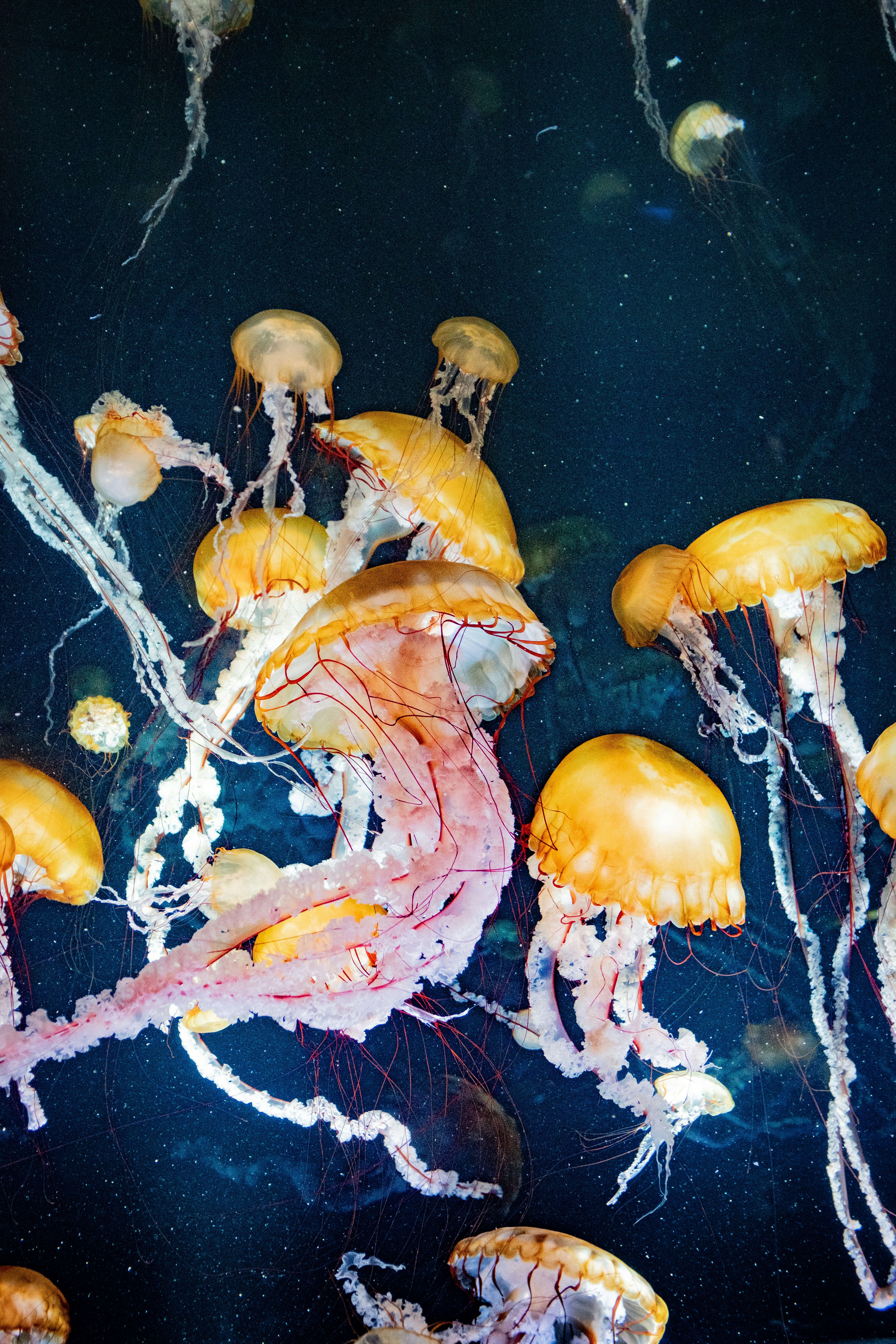 Photo by bernardhermant