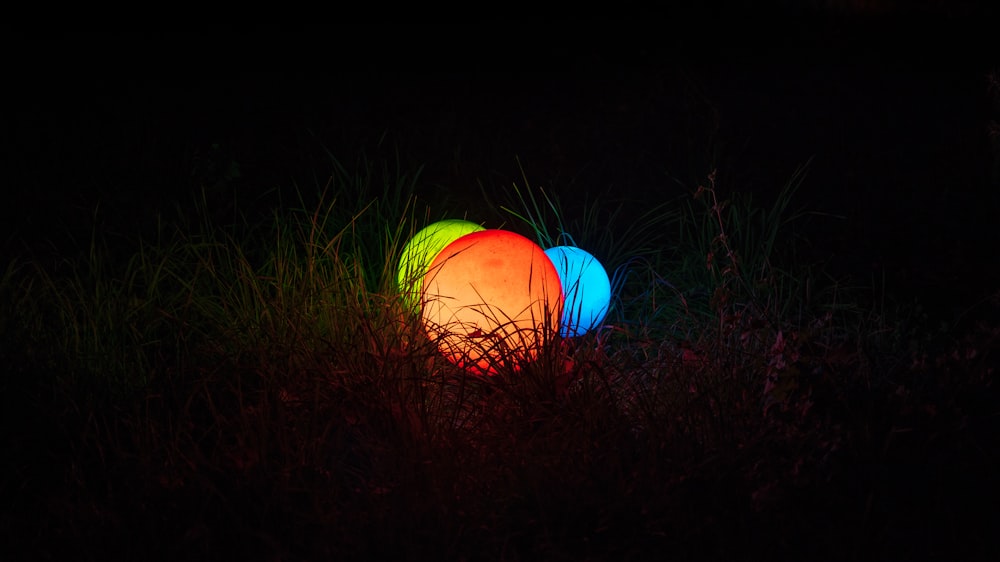 silhouette of grass and three red, yellow, and blue lights