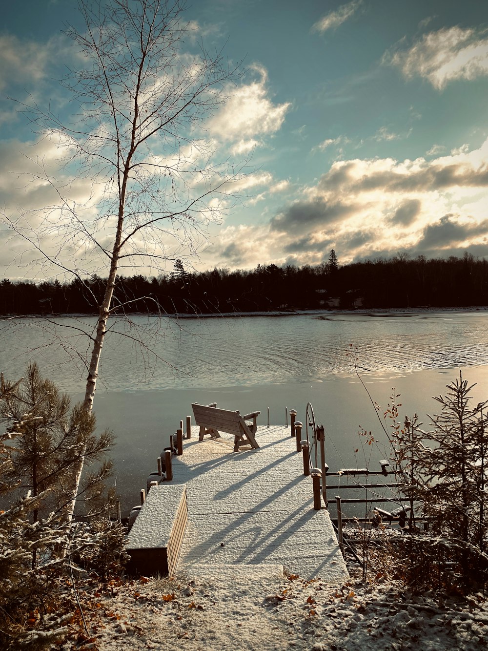 white wooden dock near body of water