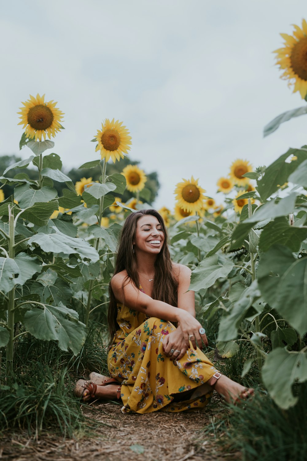woman sitting beside sunflower during daytime