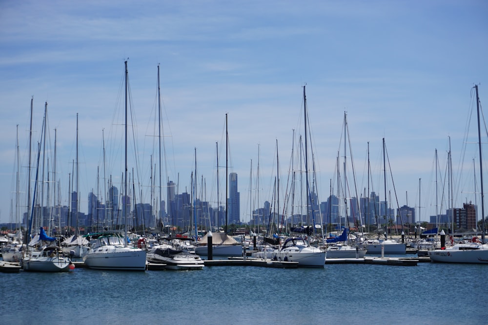 white boats in a dock