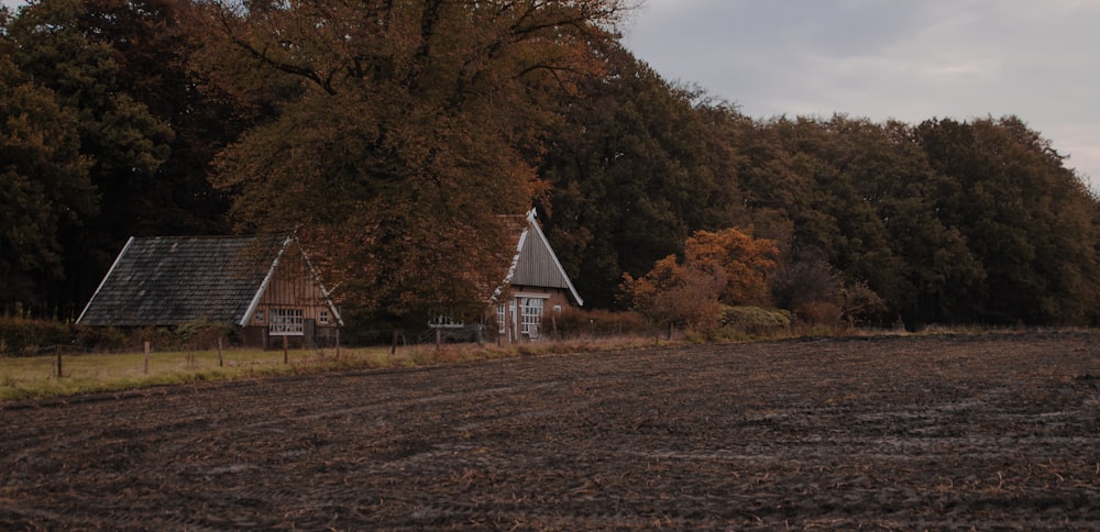 cabin near brown trees during daytime